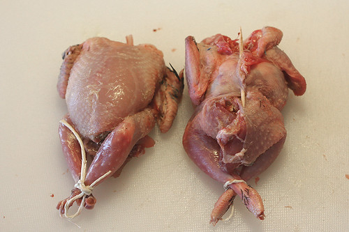 Stuffed quails