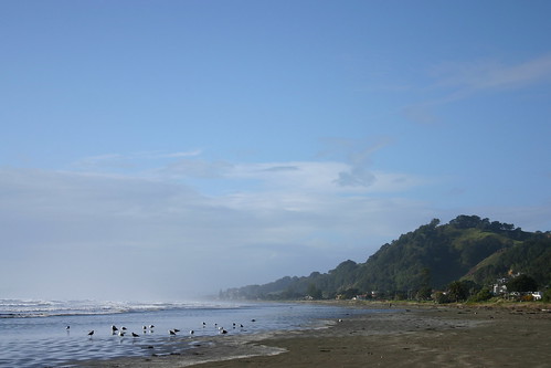 Ohope Beach Looking Towards the East Cape
