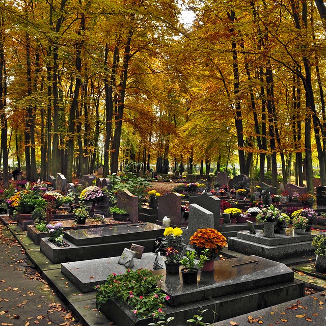 Automne au cimetière paysager de Clamart (6887)