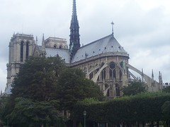 Notre-Dame amongst the trees