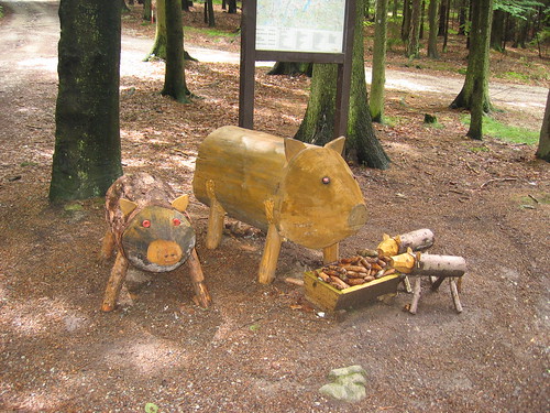 Little Pig Family after our picnic lunch in the woods, day 2
