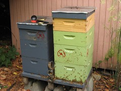 Beekeeping 2707