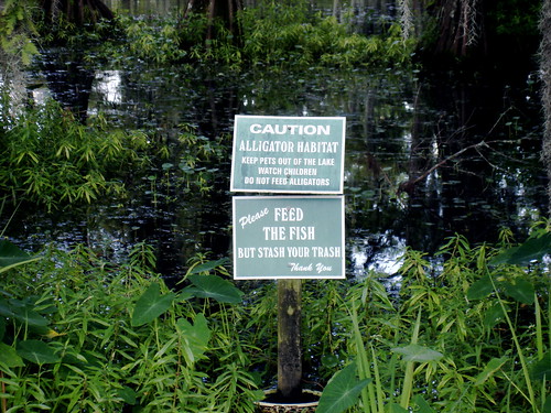 swamp on UL Lafayette campus