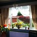 our gay bedroom window by Mystic Ed & Fluffy