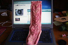 Sock on Laptop 091907