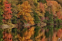Fall Parade of Color on Rose Lake by Jim Crotty.jpg