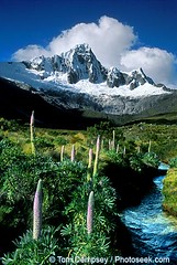 Peru Reserva de Biosfera del Huascaran World Heritage Site