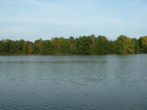Schrock Lake
