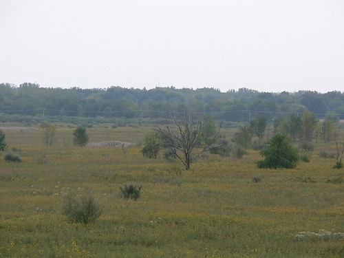 Goose Lake Prairie State Natural Area 2006