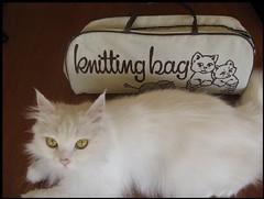 Matilde and my new knitting bag