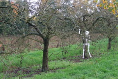 Priory Farm Spooky Trail