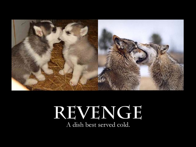 revenge_small.jpg