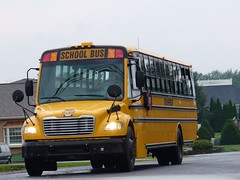 Weird School Bus