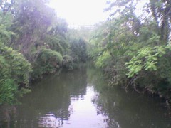 Creek.jpg