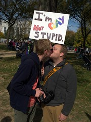 Im Gay Not Stupid Rally to Restore Sanity