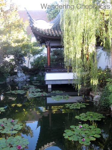 Day 4.12 Lan Su Chinese Garden (Portland Classical Chinese Garden) - Portland - Oregon 32