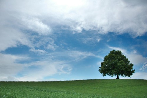  フリー画像| 自然風景| 樹木の風景| 草原の風景| 雲の風景| スイス風景|      フリー素材| 