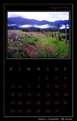 August Black Calendar