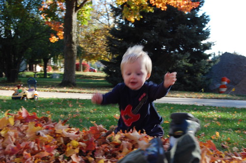 Jumping in the leaves