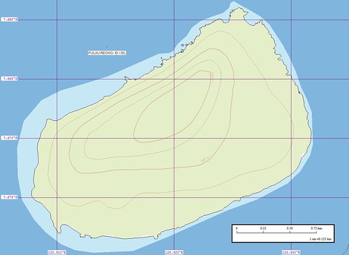 Pulau Reong - EEVS Map (1-12,500)