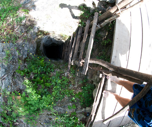 Cenotes of Cuzama 04