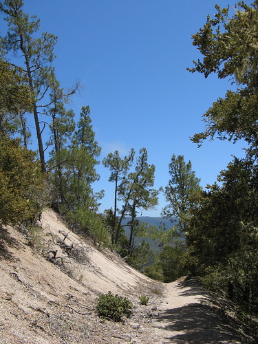 Westridge Trail, heading down