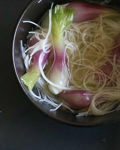 Chicken Soup, with spring onions (i)