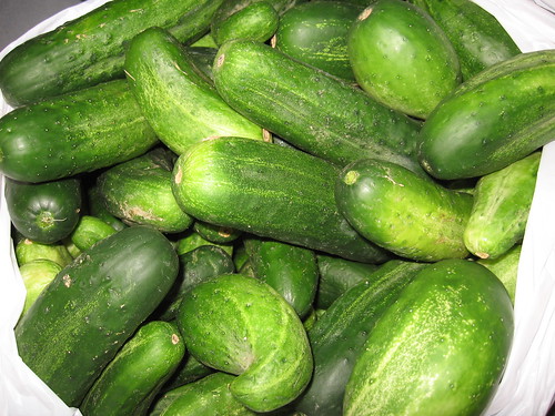 Pre-Pickles
