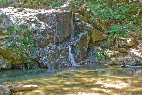 Patapsco Valley State Park Waterfall
