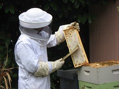 Beekeeping 2500