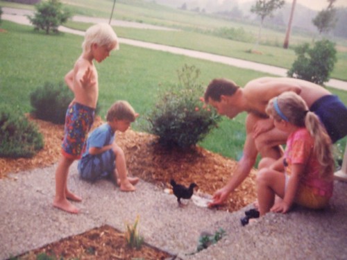 chickens circa 1992