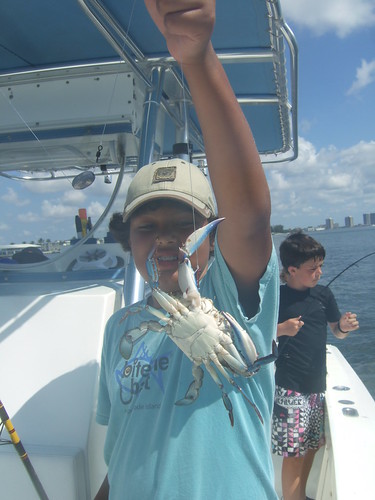 Dakota catches a blue crab!