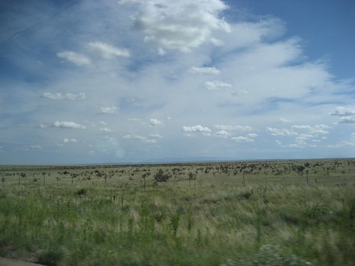 New Mexico Skies
