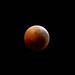 Under a blood moon rising 2007:08:28 21:16:48