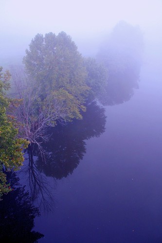 A Misty River Mood