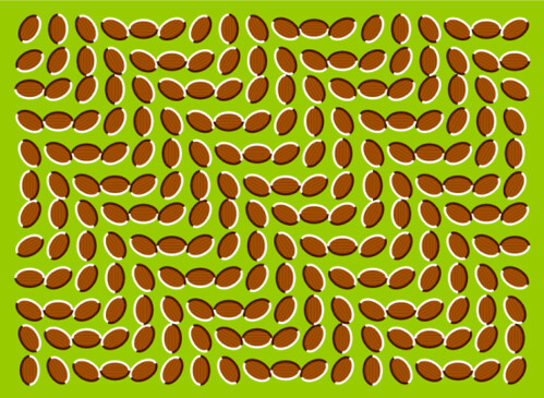 Wavey Motion Pattern Crazy Optical Illusion