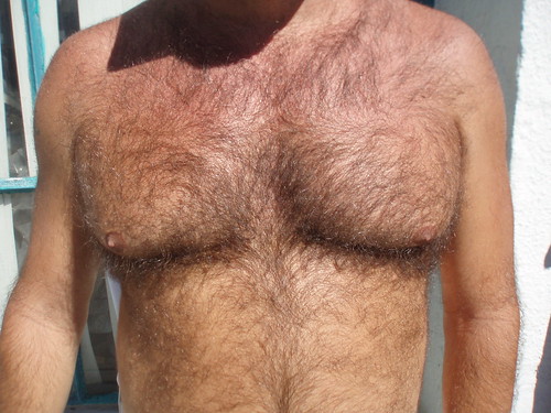 FOLSOM STREET FAIR 2007 hairy bear chest