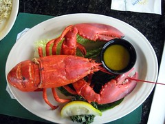 Red Maine Lobster