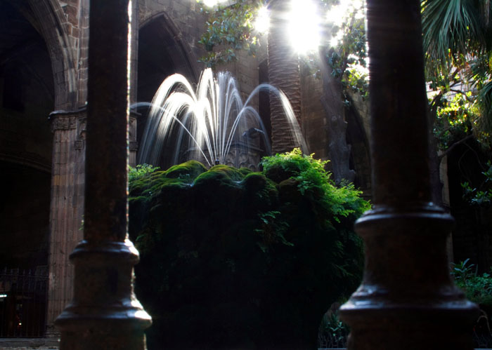 Late afternoon at the cloister