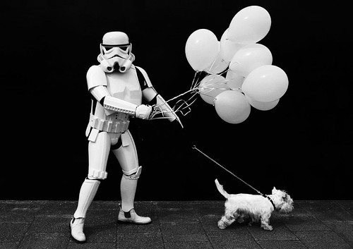 Imperial Stormtrooper Walking The Dog par StormCab