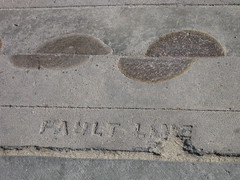 Fault line - by Lisa Andres