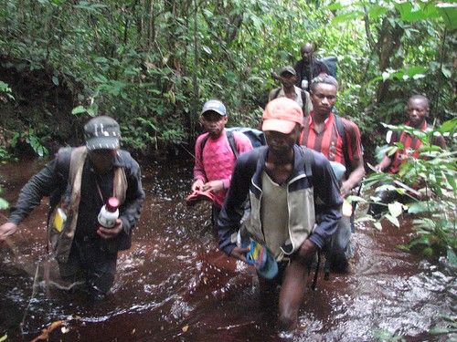 swamp forest south of Opala, Maurice team (he is on left)