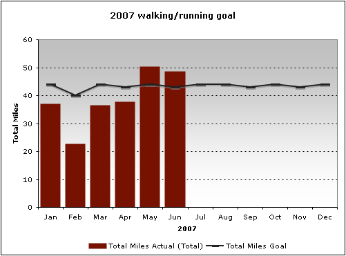 2007 walking/running goal