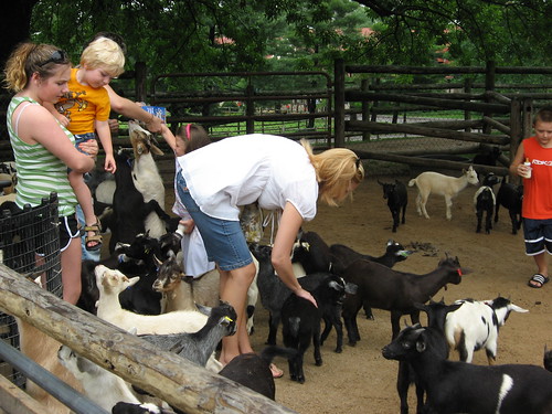 Grant's Farm - Goats