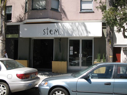 Stem - a boutique on 18th in the Mission