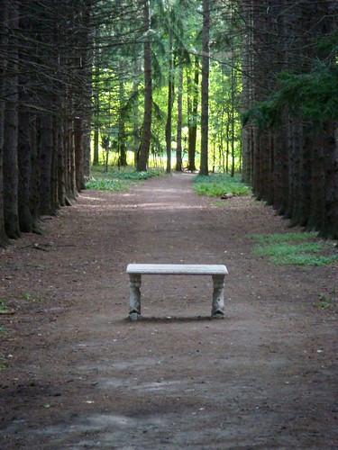 Guest Shot: Bench in Clearing