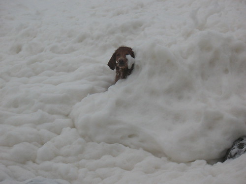 Caught by the foam
