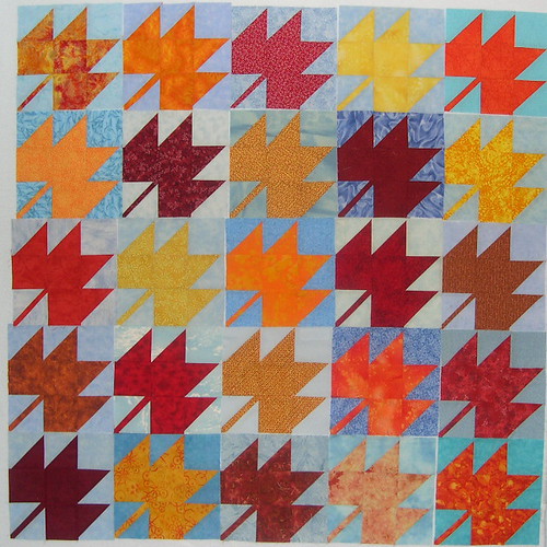 Maple Leaf Blocks 51-75