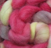 4.7 oz Alpaca Roving "Stanley" 3 Day Auction