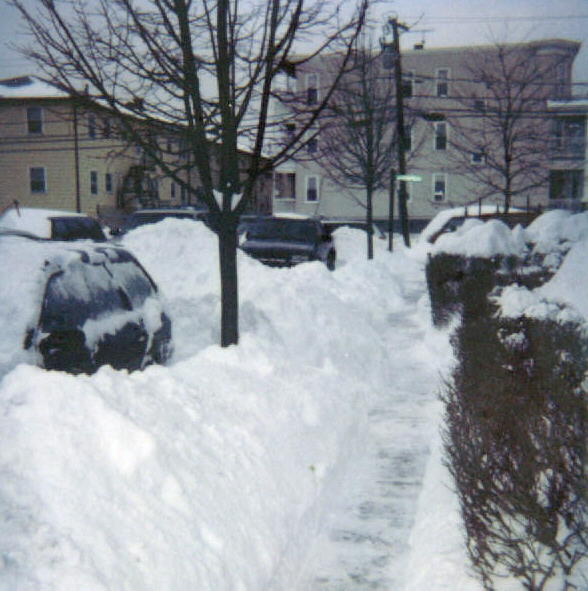 Mayfield Street, Dorchester, February 2003